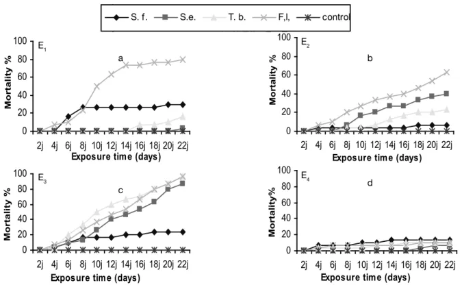 Figure 3:  Mortality percentage of T. confusum, in adult stage exposed with and without choice option to E 1 , E 2 , E 3  and E 4  of the four tested   halophytes and calculated after fourteen days