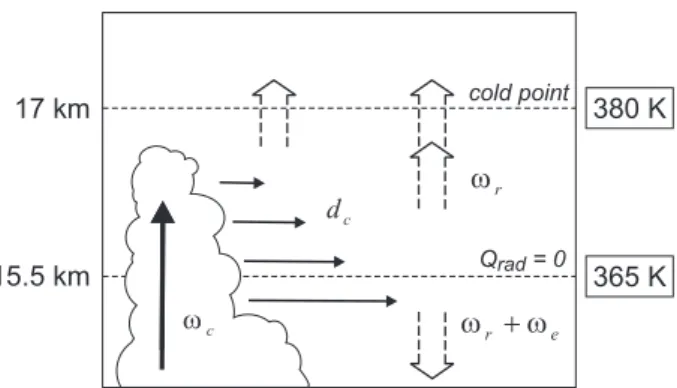 Fig. 1. Schematic overview of transport in the tropical tropopause region. The level of zero radiative heating at an altitude of about 15.5 km (about 365 K potential temperature) marks the transition from large scale subsidence to large scale ascent, as di