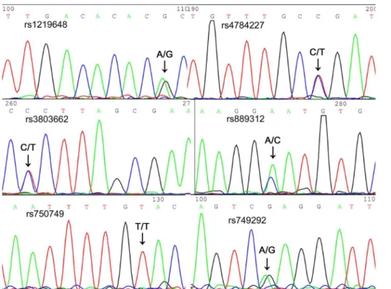 Table 2. Analyses of read lengths in electrophoresis.