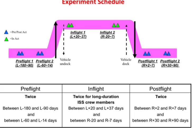 Fig 1. Experiment schedule. At each sampling point, two astronauts were paired and each astronaut took hair samples from the other astronaut by turns (sample number indicated in the text)