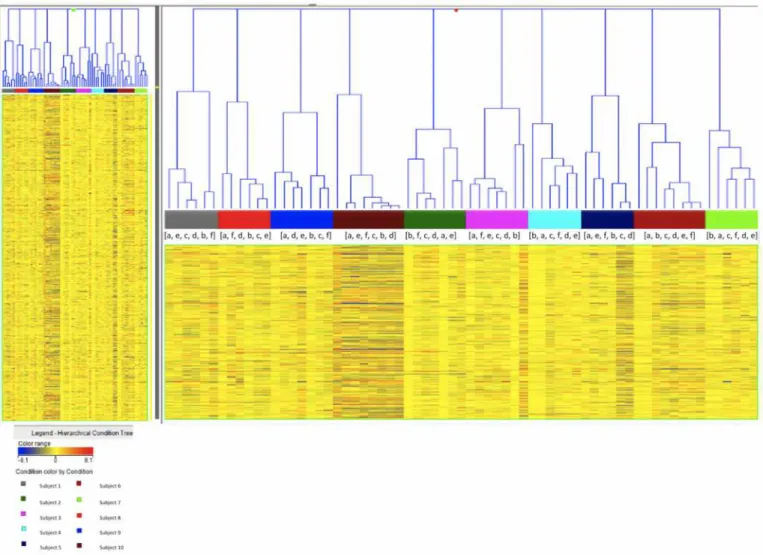 Fig 2. Hierarchical cluster analysis by condition tree clustering. Each individual color corresponds to a data from a single astronaut