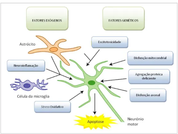 Figura 1 - Representação esquemática dos mecanismos de dano neuronal 