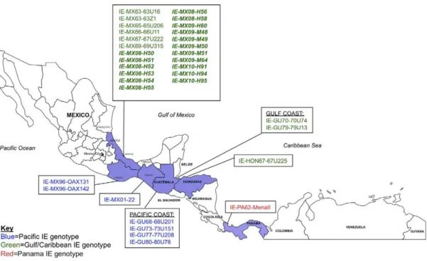 Figure 4. Geographic distribution of subtype IE Venezuelan equine encephalitis virus (VEEV)