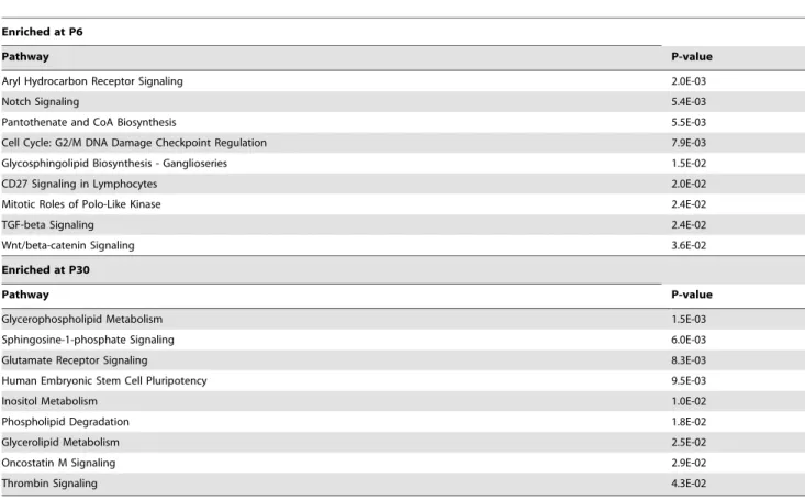 Table 7. Genes with abundant Bergmann glial expression (at both P6 and P30) that were not previously known to be present in astroglia.