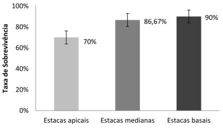 Figura 3: Taxa de sobrevivência por tipo de estacas de P. aculeata aos 37 dias de plantio   em substrato alternativo de CAC