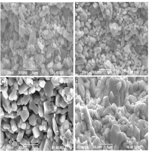 Fig. 6 SEM fractographs of the specimens sintered at different heating rates to the peak  temperatures