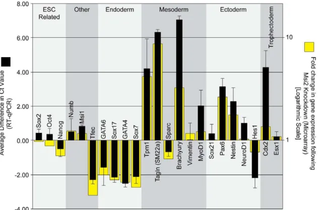 Figure 4. Knockdown of Msi2 in ESC leads to the expression of lineage-specific markers