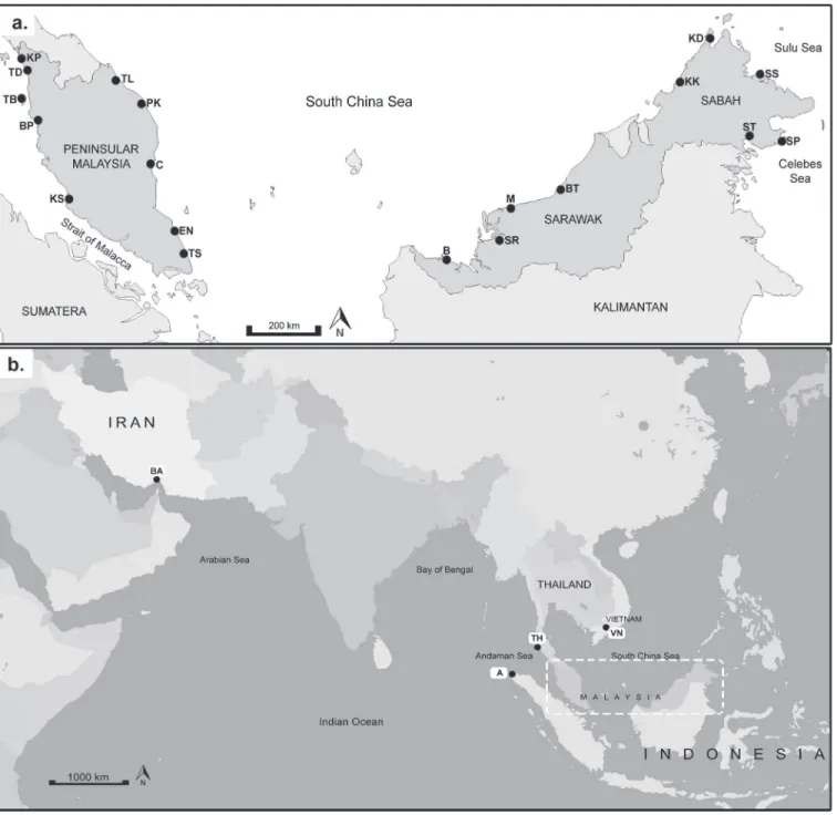 Fig 1. Sampling locations of Rastrelliger kanagurta (a) in the IMA subdivided into 5 regions; Region 1: Strait of Malacca (SOM) — Kuala Perlis (KP), Tanjung Dawai (TD), Bagan Panchor (BP), Teluk Bahang (TB) and Kuala Selangor (KS); Region 2: South China Se