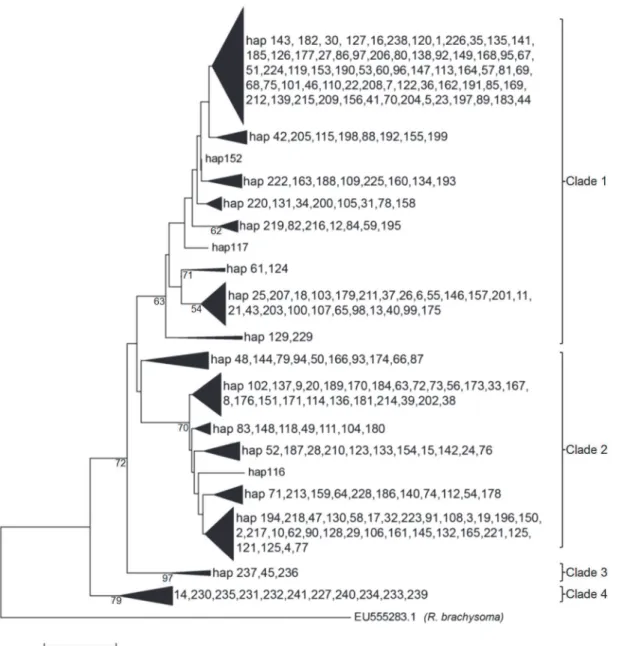 Fig 2. Evolutionary history as inferred using the Neighbor-Joining method (K2P distance) with 1000 bootstrap replicates.