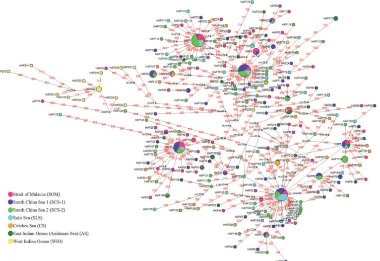 Fig 3. Minimum spanning network (MSN) inferred from complete mtDNA Cyt b. Coloured close circles represent different regions (refer to legend).