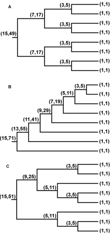 Figure 1. Branch size and cumulative branch size examples. The values of the branch size ( A ) and of the cumulative branch size ( C ) are shown (in brackets, as ( A , C )) at each node of three small example trees.