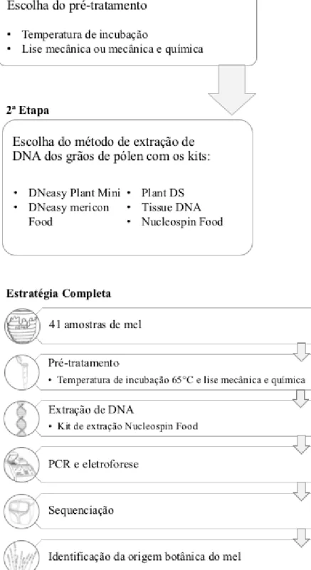 Figura 2.1 Fluxograma do delineamento experimental. 