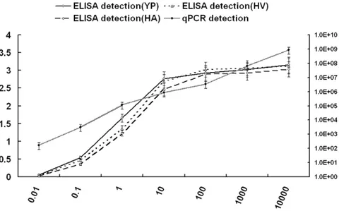Figure 3. Detection of serial dilutions of purified BRV using phage-mediated ELISA and qPCR