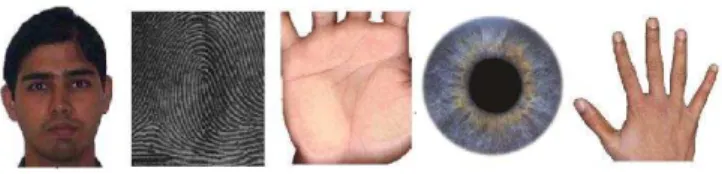 Fig. 1. Examples of biometric characteristic 