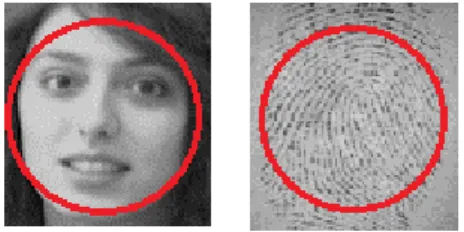 Fig. 4. Example of ZM for feature extraction with face and fingerprint D. Classification 
