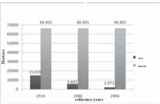 Figure no. 3. Deforestations in the Giurgeu Depression between 1910-2006 