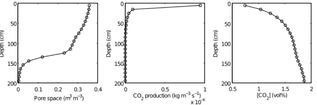 Fig. 7. Profiles of pore space (1-p), CO 2 production rate and CO 2 concentration after 20 ka of soil development.