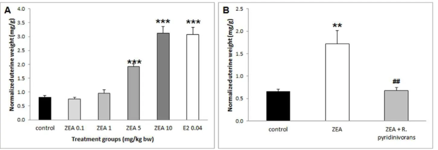 Figure 4. Gene expression of apelin, aquaporin 5, complement component 2 and calbindin 3 in Experiment 1 