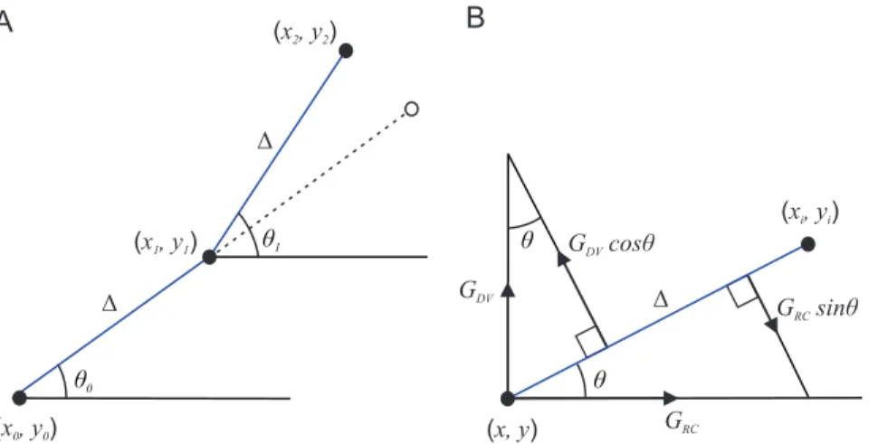 Figure 1 illustrates the model derivation. The ‘‘stiffness’’ is shown in Figure 1A by the dashed line; however, environmental influences change the angle value, and growth from the point with co-ordinates (x 1 ,y 1 ) to the point with co-ordinates (x 2 ,y 