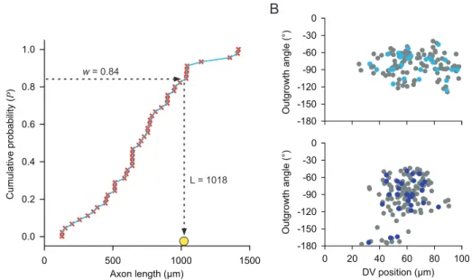 Figure 2. Generalization of values from limited biological datasets. (A) Piece-wise linear approximation of the cumulative distribution function for cIN axon length