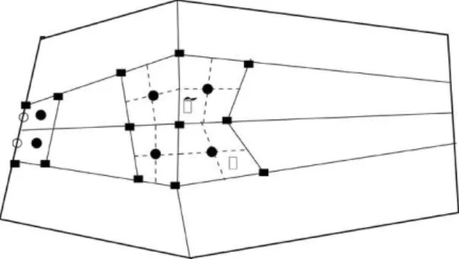 Figure 1: Quadrilateral mesh.