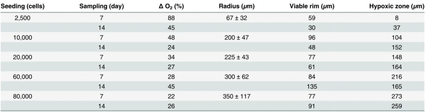 Table 1. Physiological differences between spheroids of varying sizes at separate sampling times