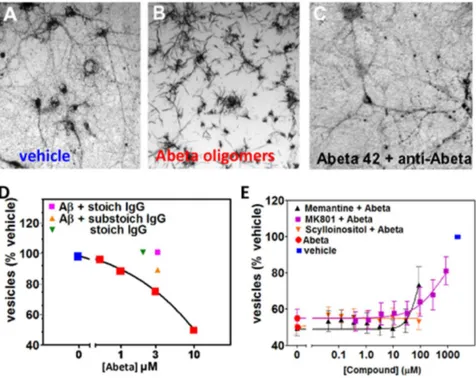 Figure 5. Relative potency of Abeta preparations in membrane trafficking assay. Synthetic human Abeta 1–42 oligomer (high concentration), freshly made monomer, synthetic oligomers (low concentration), semi-synthetic oligomers and human Alzheimer’s patient 