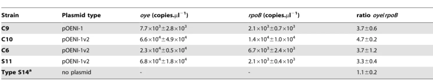 Figure 3. Control of plasmid-free strains. A. Comparison of NotI- NotI-PFGE patterns of plasmid containing strains (C9+, C10+) and isogenic plasmid-less derivatives (C92 and C102)