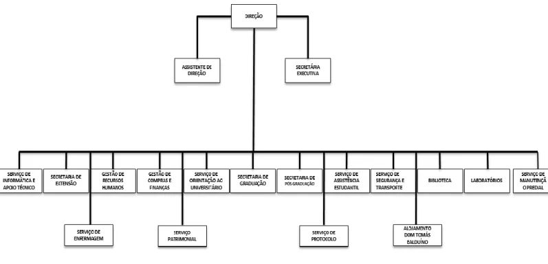 Figura 4: Organograma da FUP (2019).