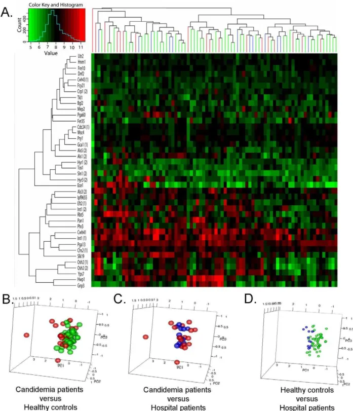 Figure 1. Prevalence of the serodominant anti- C. albicans cell surface IgGs in the study population