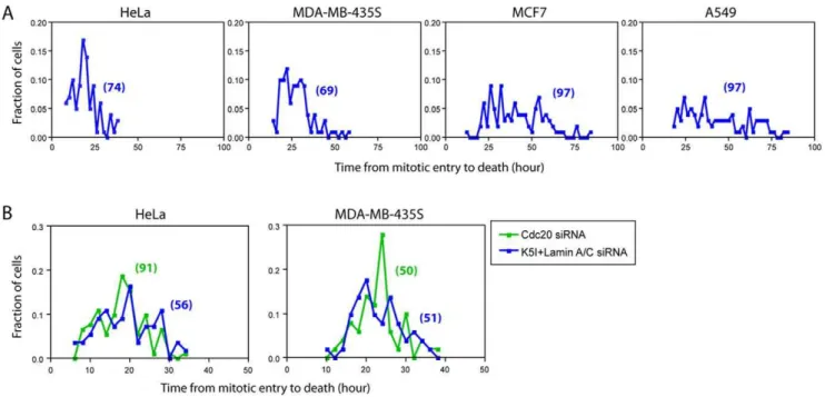 Figure 2D showed four representative single-cell fluorescence trajectories of EGFP-cyclin B1