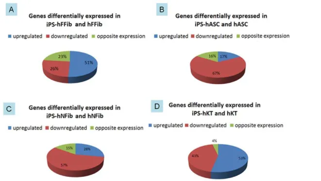 Figure 5. Hierarchical clustering of upregulated genes in the hiPSC and donor cells. (A) iPS-hFFib and hFFib