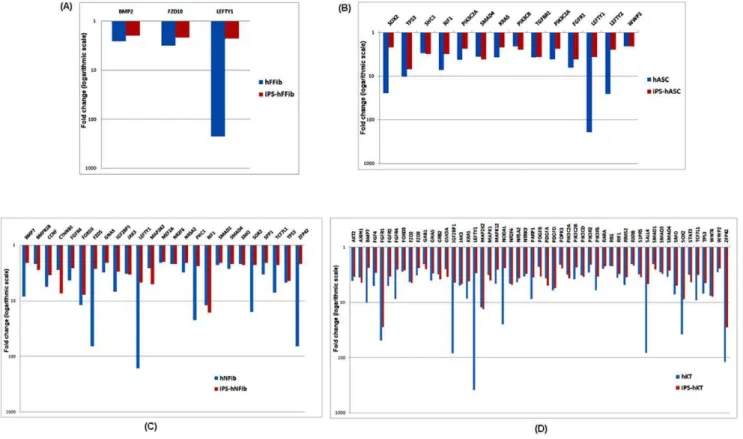Figure S1 Unique set of genes (A) Upregulated in iPS-hFFib (red). (B) Downregulated genes in iPS-hFFib (green).