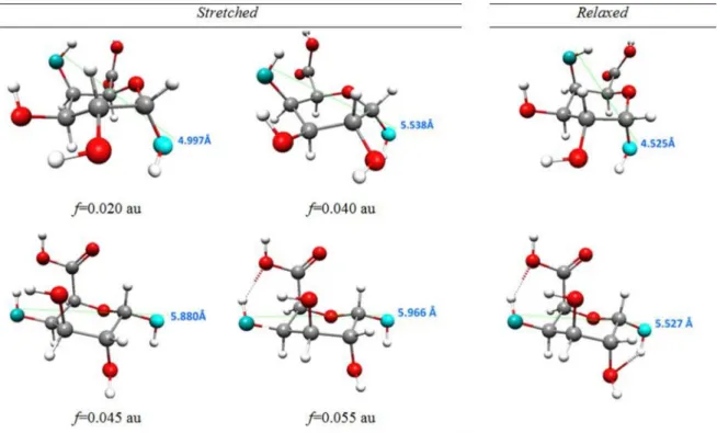 Figure 4. Monomer structures obtained as a result of external forces. The selected structures obtained as a result of external forces applied to oxygen atoms in 1,4 position in 4 C 1 conformer of a-D-galacturonic acid molecule with a marked distance betwee