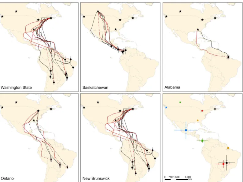 Fig 1. Estimated fall and spring migration routes and wintering sites for barn swallows from five populations where archival light-level