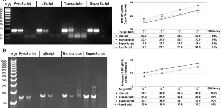 Figure 8. Comparison of 3173 Pol (PyroScript) RT-PCR mix with two enzyme RT-PCR systems in detection of MS2 and influenza A.