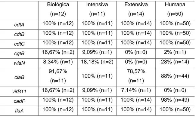 Tabela 3 – Número de isolados positivos de Campylobacter jejuni de diferentes origens quanto  aos genes de virulência e da toxina