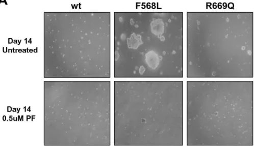 Figure 8. LTK-F568L and LTK-R669Q induce anchorage independent growth, which is inhibited by PF-2341066