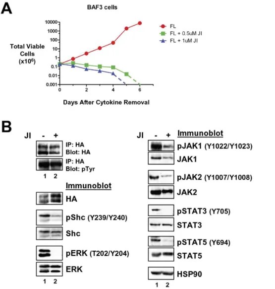 Figure 5. Transformation of BaF3 cells by LTK-F568L requires JAK family kinase activity