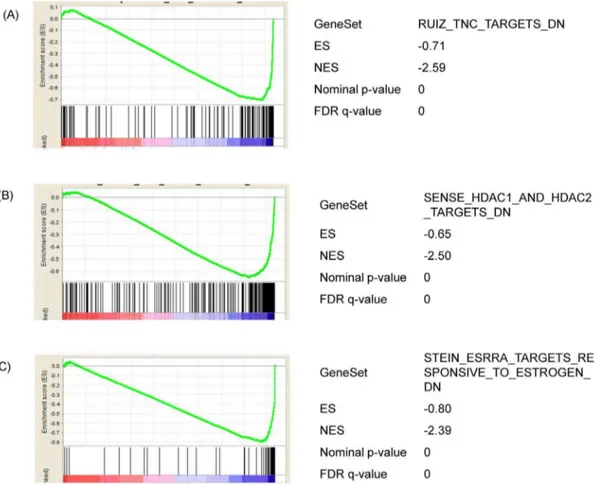 Figure 3. Analysis of the functional gene set enrichment after 24 h ZEA treatment by GSEA