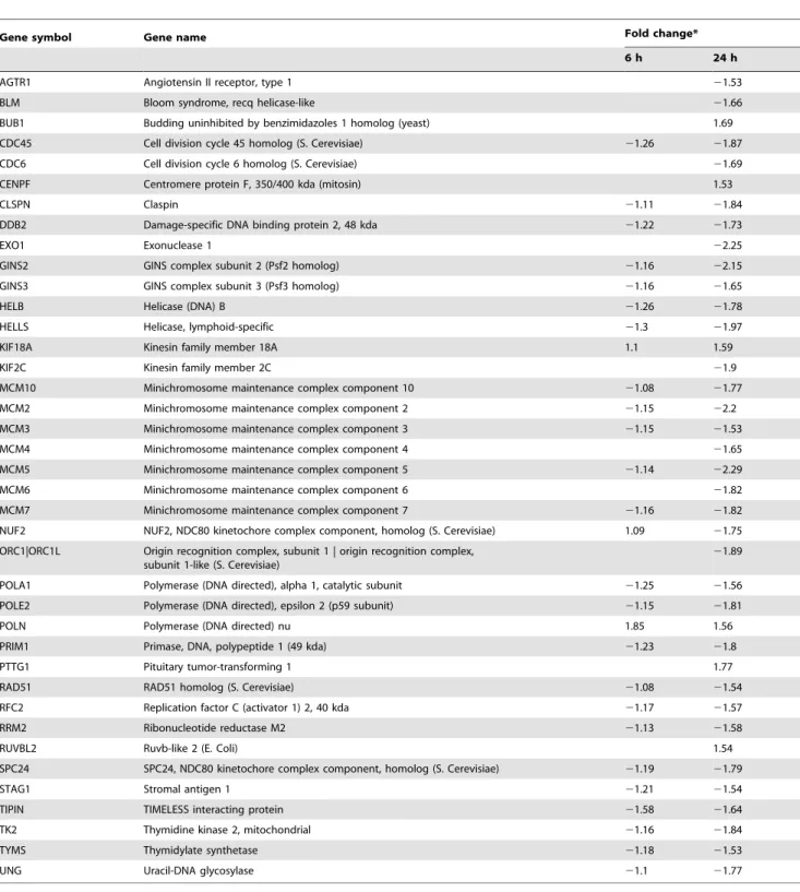 Table 5. Differentially expressed genes related to replication, damage and repair of DNA.