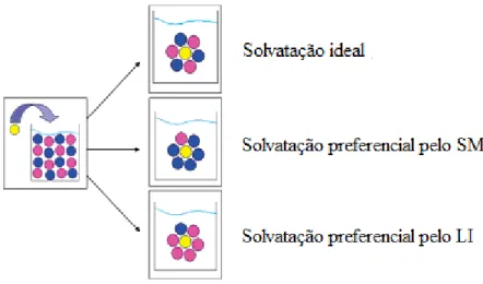 Fig. 8 - Esquema representativo da solvatação preferencial de uma sonda solvatocrómica (●) por  parte de um LI (●) face a um solvente molecular, SM (●), numa mistura LI + solvente 