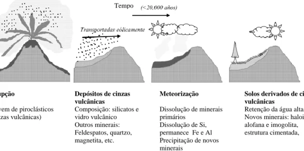 Figura 2.1- Transformação da cinza vulcânica em depósito de solo. (Modificada de - Lizcano et al