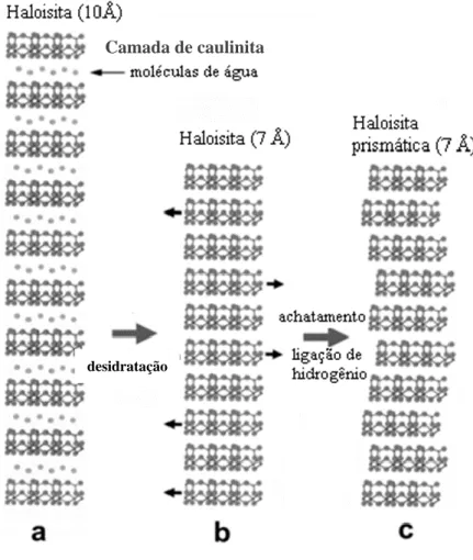 Figura 2.4 - Desenho esquemático do percurso de amadurecimento de haloisita. (Modificada de - Kogure et al