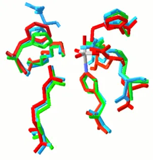 Figure 1.20 – Modelos tridimensionais de estruturas de haloperoxidases dependentes de  vanádio