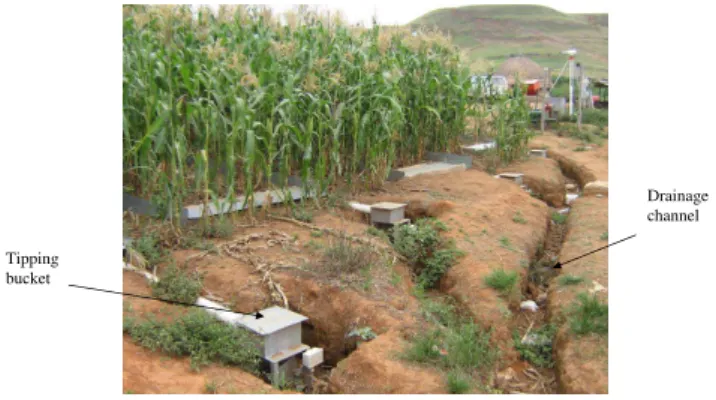 Fig. 8. A set of runoff plots under different treatments in a farmer- farmer-managed trial.