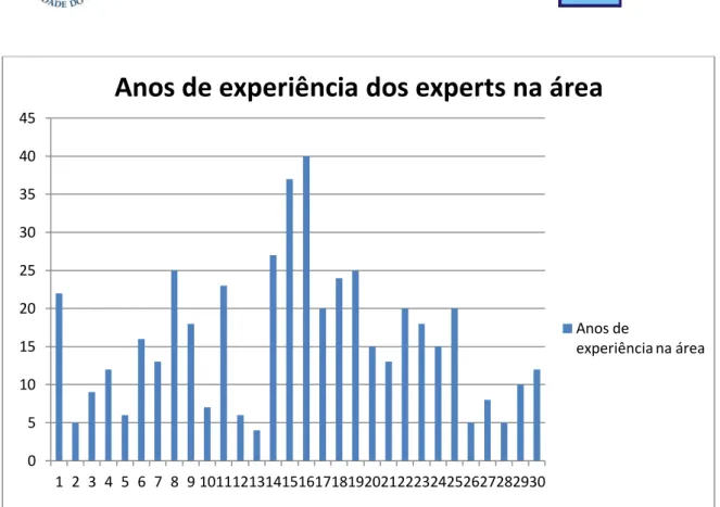Gráfico 11: Anos de experiência dos experts na área. 