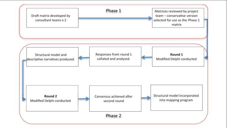 Figure 2.  Study method.