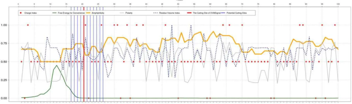 Figure 2. An example, O95994 (AGR2_HUMAN), of biochemical feature profiles in a 100-residue N-terminal subsequence predicted to contain a signal peptide.
