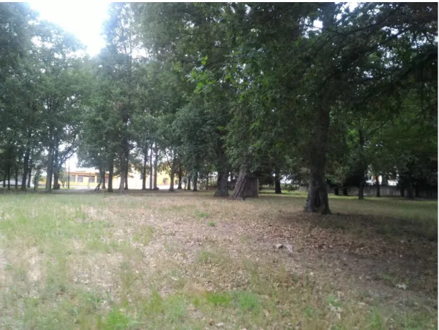 Figura 14 - Parque dos Marmelos 